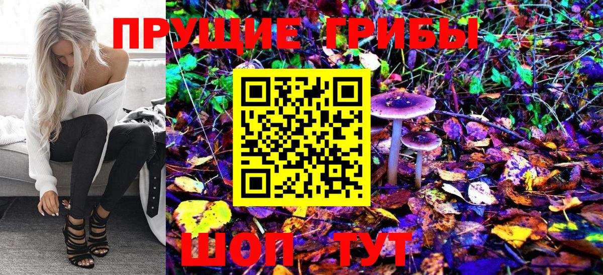 Псилоцибиновые грибы Psilocybine cubensis  Псилоцибиновые грибы GOLDEN TEACHER  Орёл  Вход с VPN 